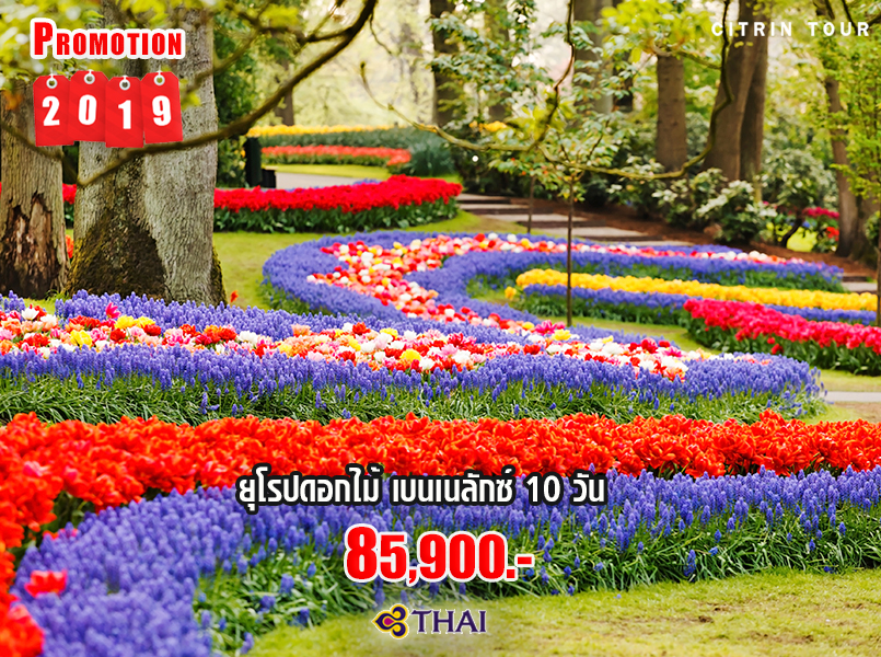 ยุโรปดอกไม้ เบเนลักซ์ 10 วัน ยุโรปดอกไม้ เบเนลักซ์ 10 วัน