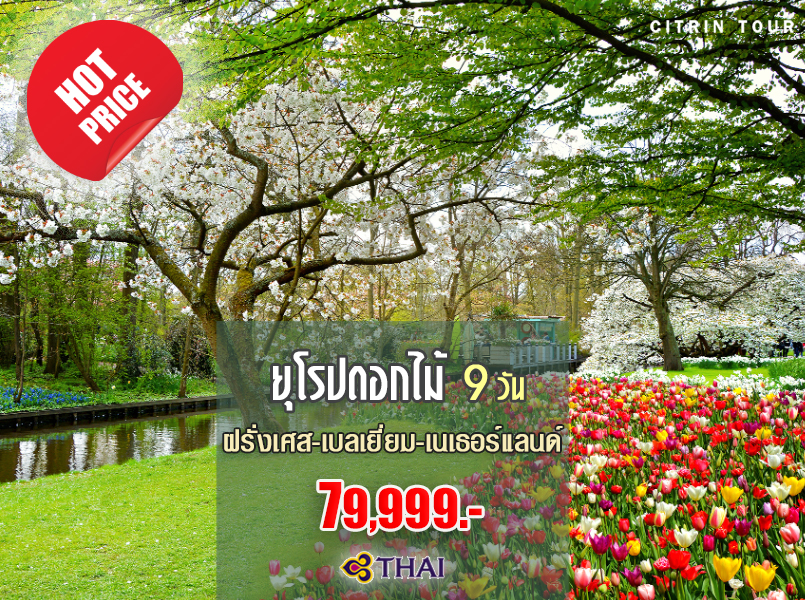 ยุโรปดอกไม้ 9 วัน ยุโรปดอกไม้ 9 วัน