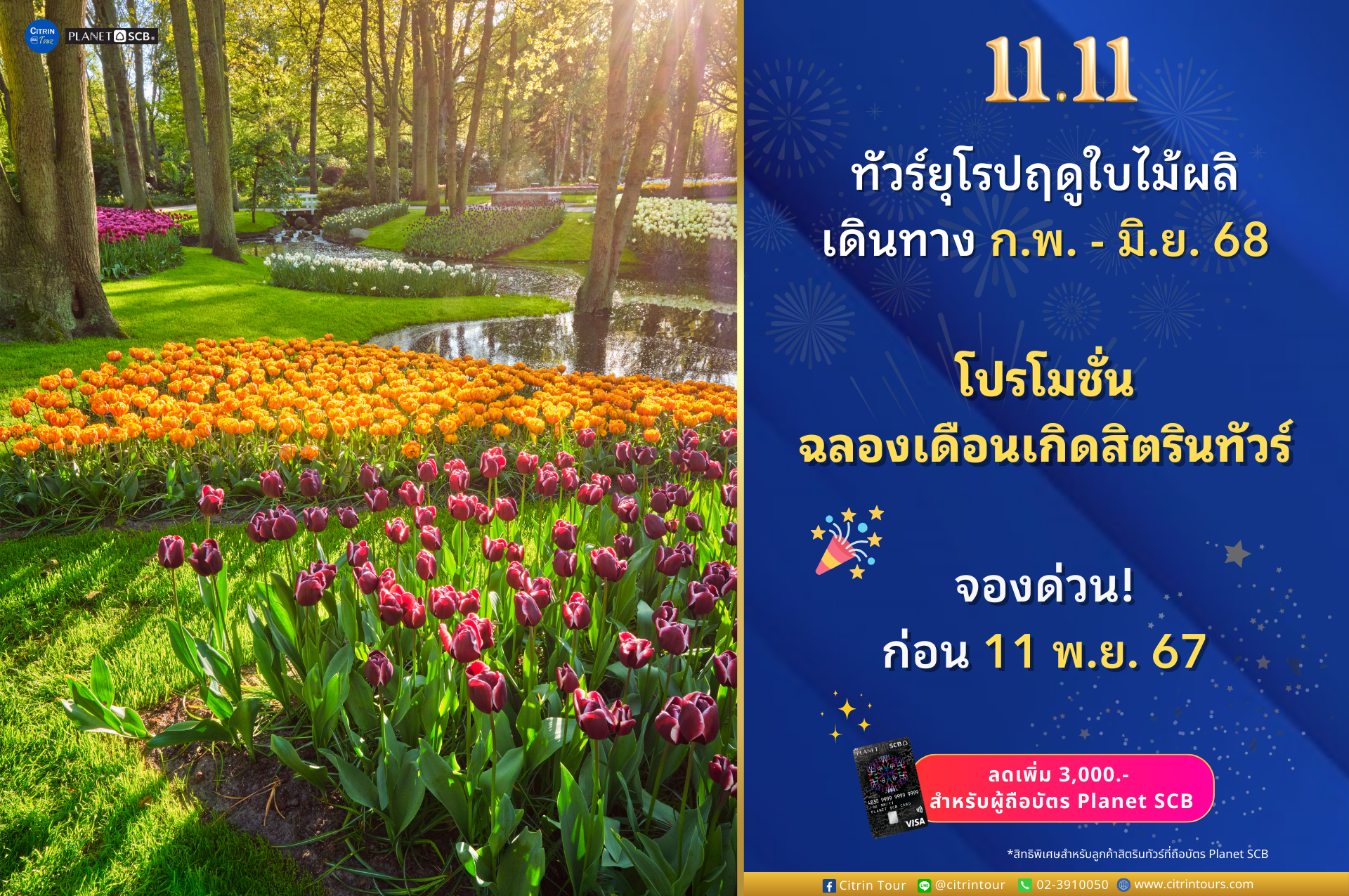 โปร 11.11