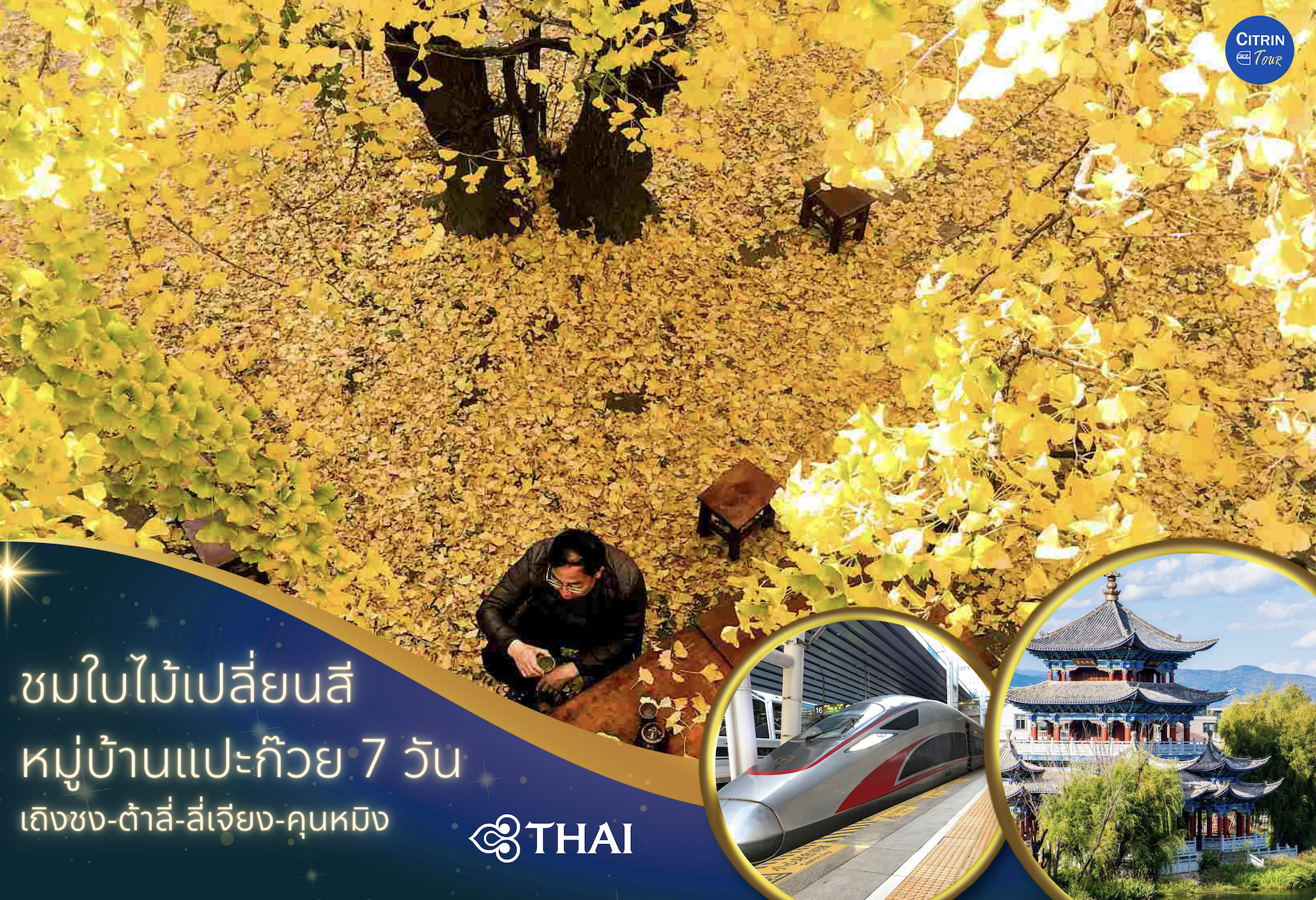 ทัวร์ชมใบไม้เปลี่ยนสี หมู่บ้านแปะก๊วย 7 วัน (17 - 23 พ.ย. 68)