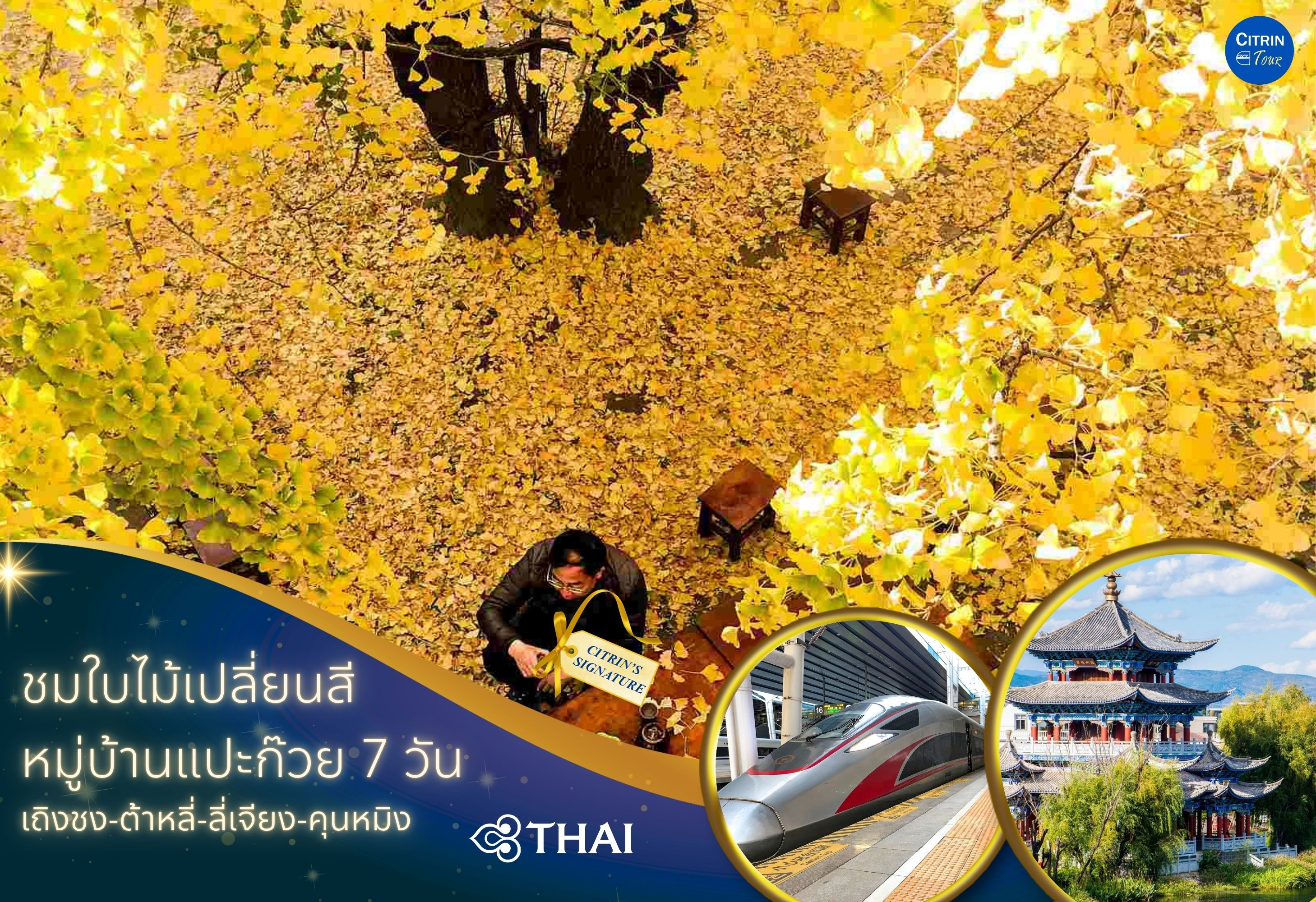 ทัวร์ชมใบไม้เปลี่ยนสี หมู่บ้านแป๊ะก๊วย 7 วัน